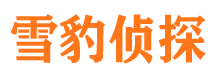 拜泉侦探公司